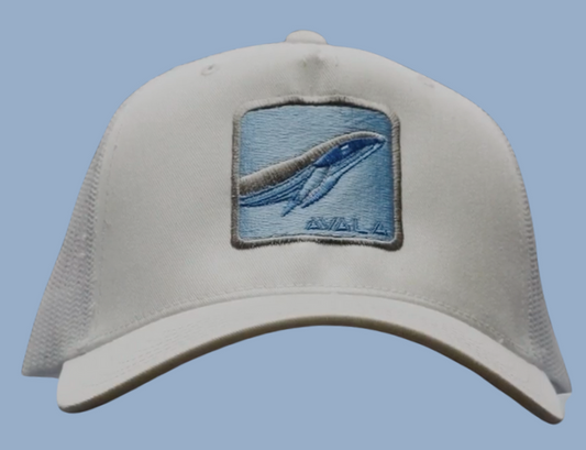 Patch Hat
